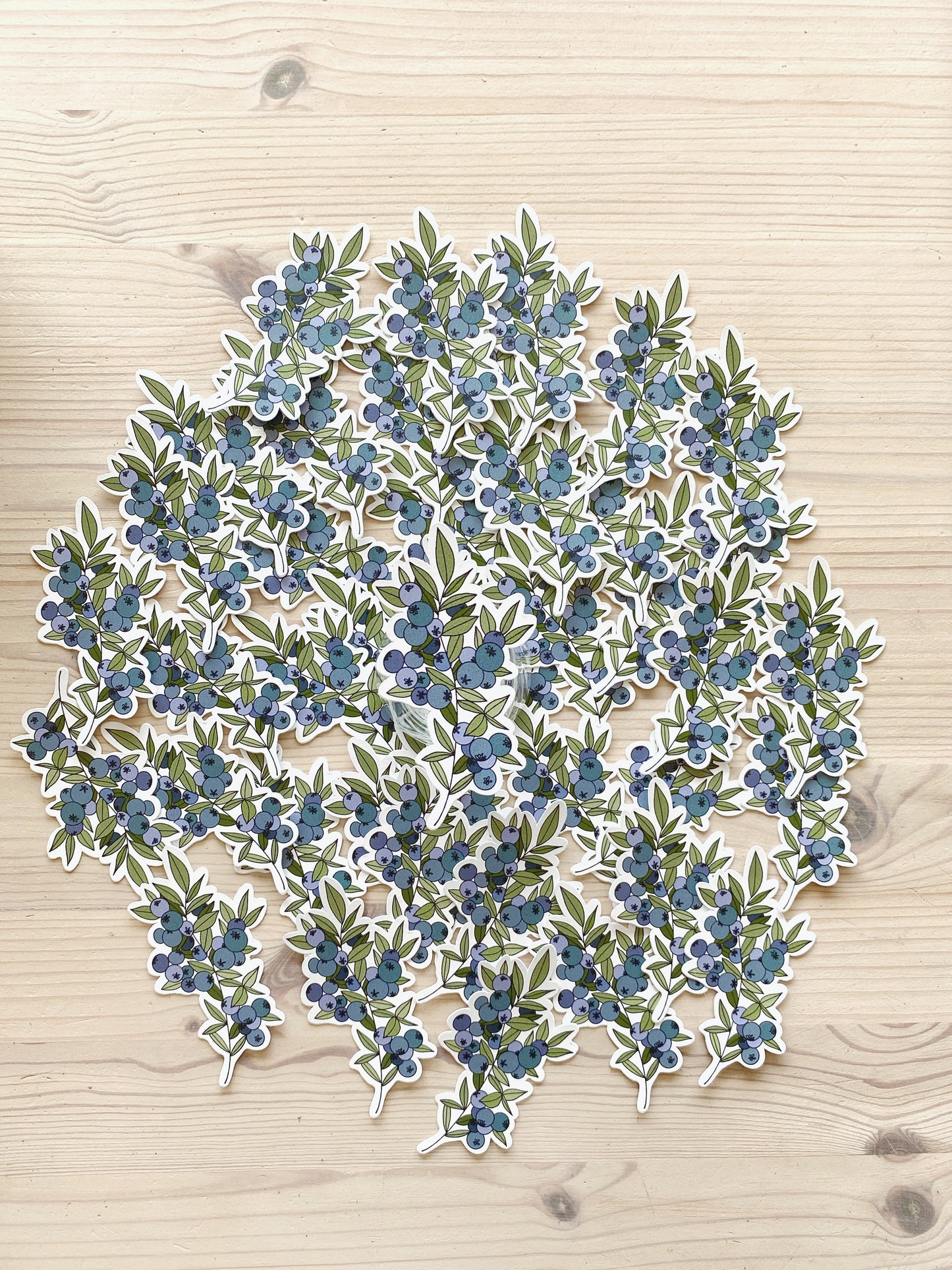 Wild Blueberry Sticker