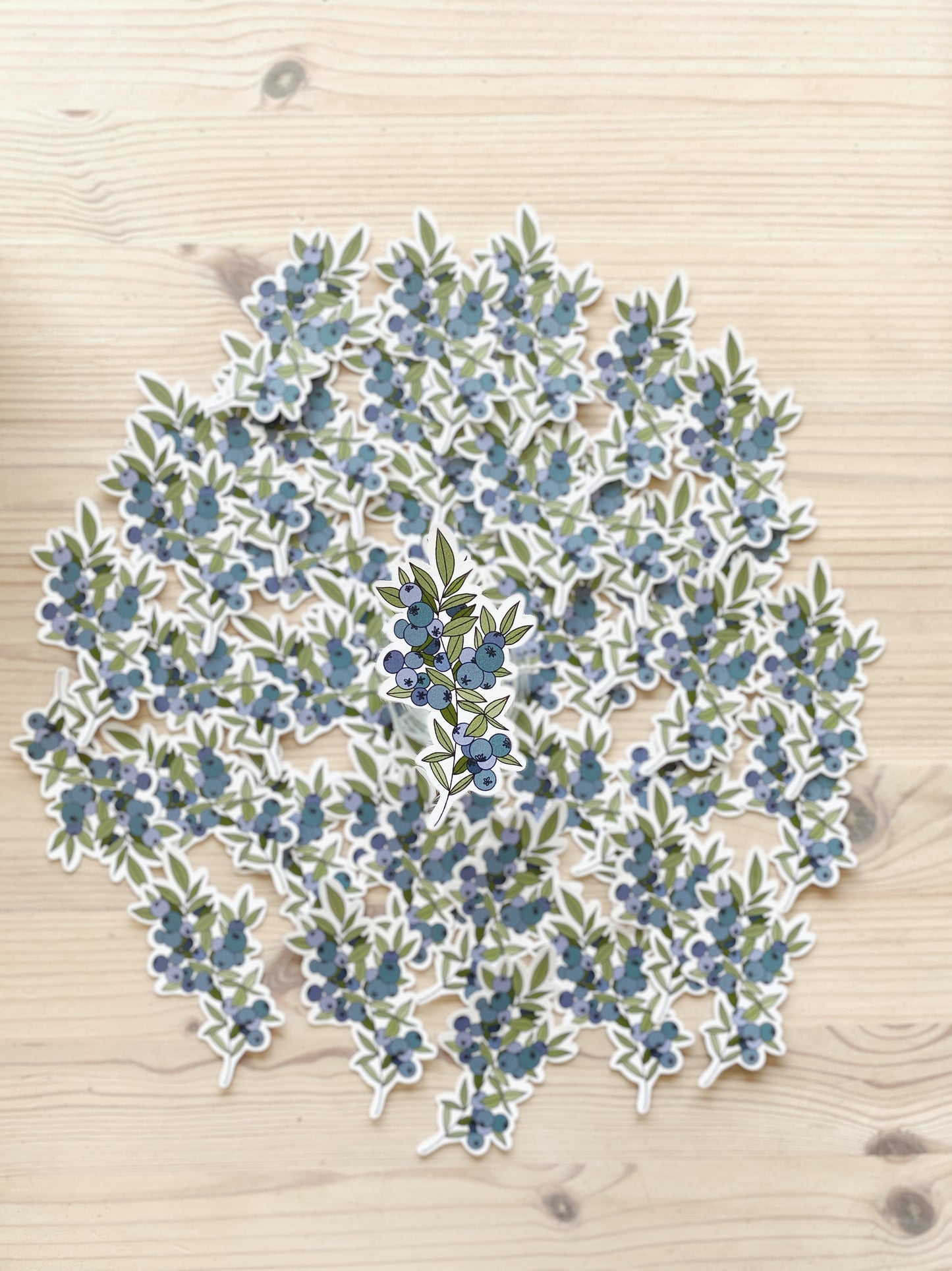 Wild Blueberry Sticker
