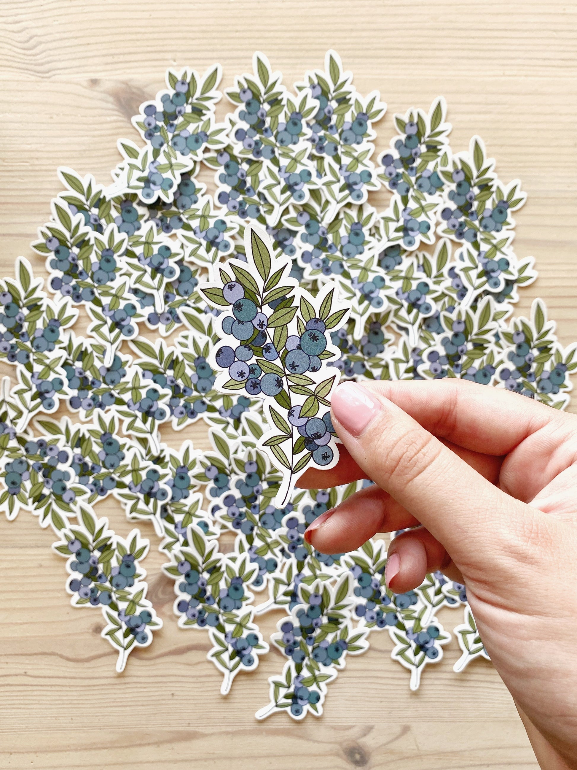 A hand holds a sticker with an illustration of blueberries on it in front of a collection of matching stickers.